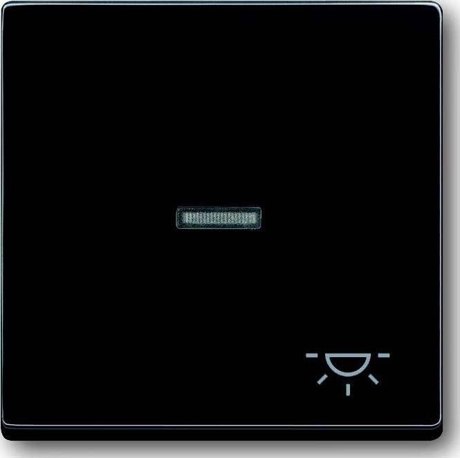 Produktbild Busch-Jaeger Wippe