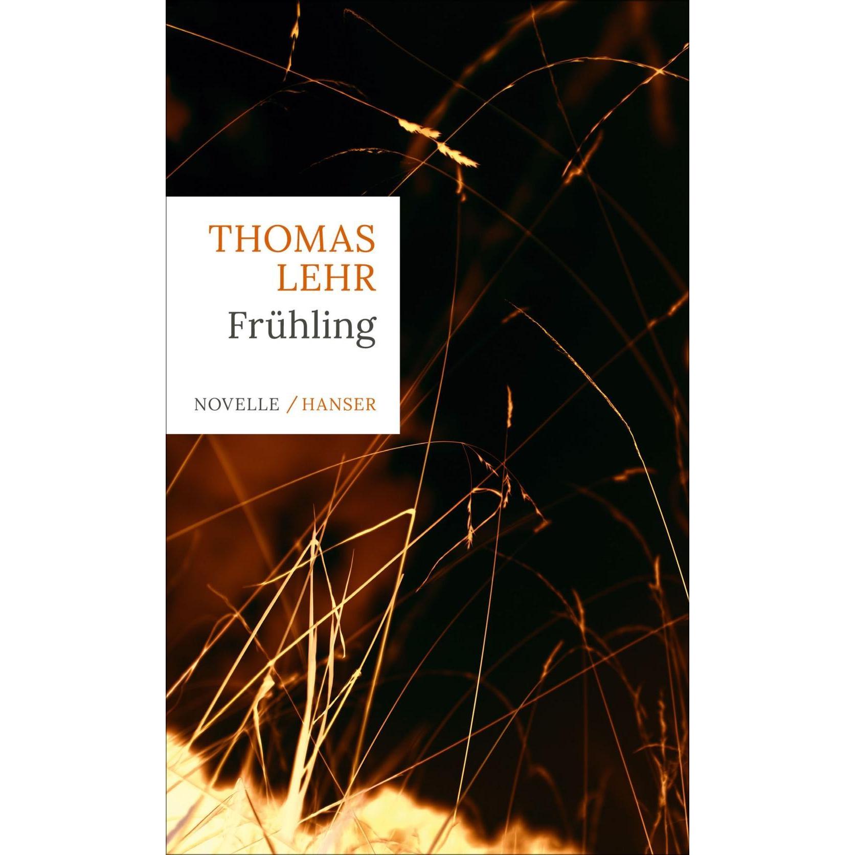 Frühling, Belletristik von Thomas Lehr