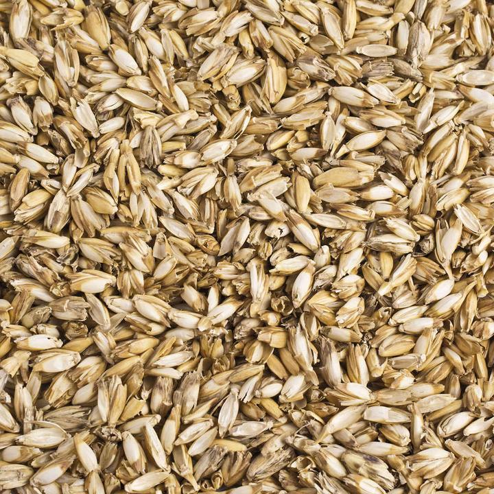 Theraline Replacement pack 50 litres spelt husk