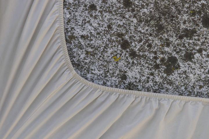 Immagine prodotto lavie Lago (180 x 200 cm)