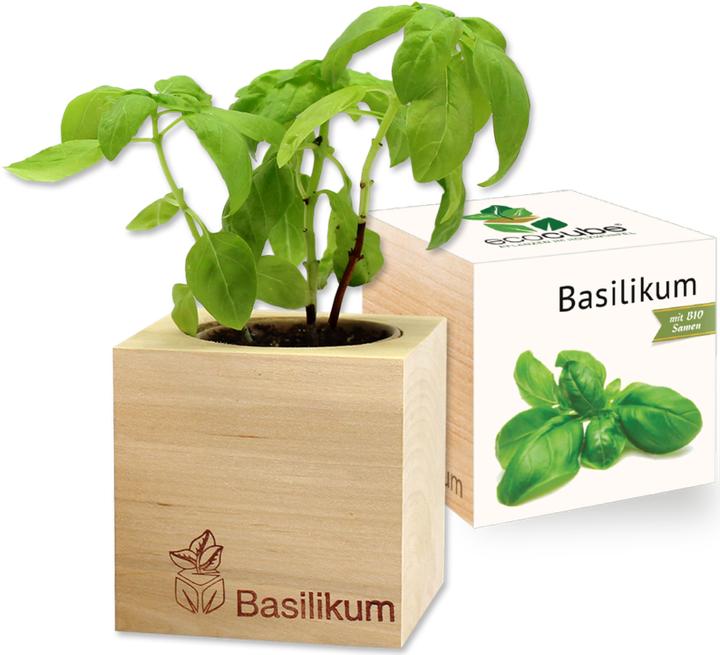 Actual product image Feel Green Ecocube (Herb seeds)