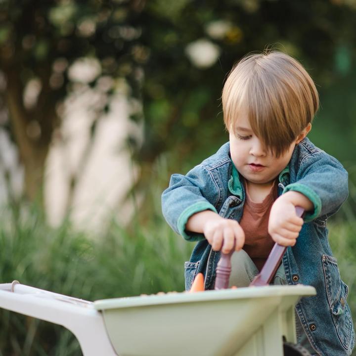 Actual product image dantoy Green Garden - Wheelbarrow Set (4723)