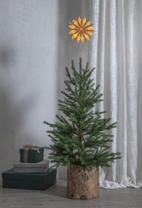 Actual product image Star Trading Tree star Flinga (1-part)