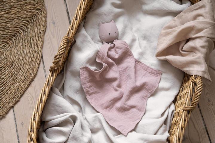 Actual product image Sebra Natural Rubber Teething Rings, Luca the Ladybird (0 Months)