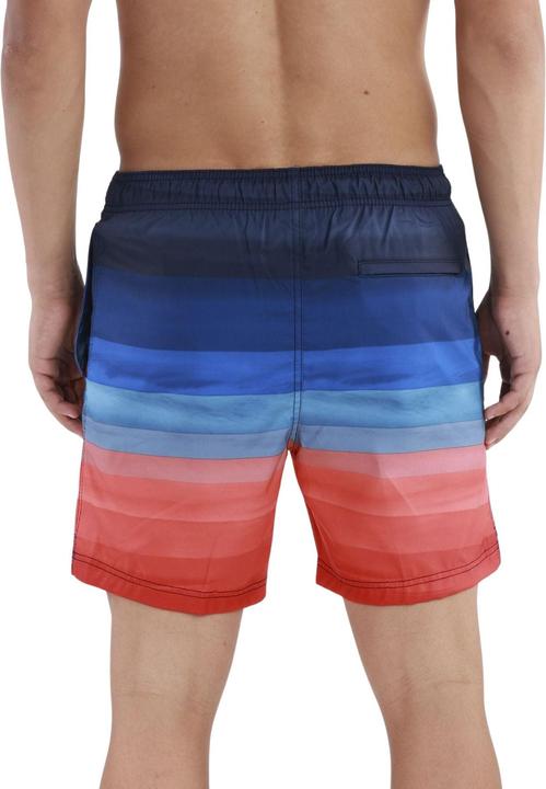 Actual product image Speedo SNA Print Volley 17" Watershorts (M)