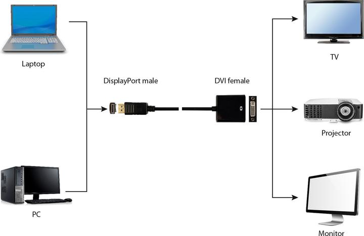 Produktbild Gembird DisplayPort-Adapter (DVI, 10 cm)