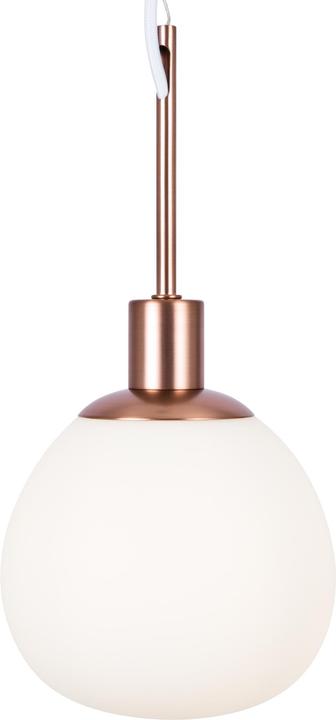 Image du produit Maytoni Erich (E14)