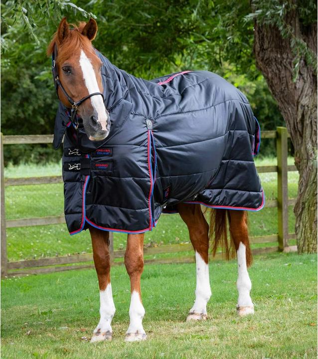 Immagine prodotto Premier Equine 200 g (221 cm)