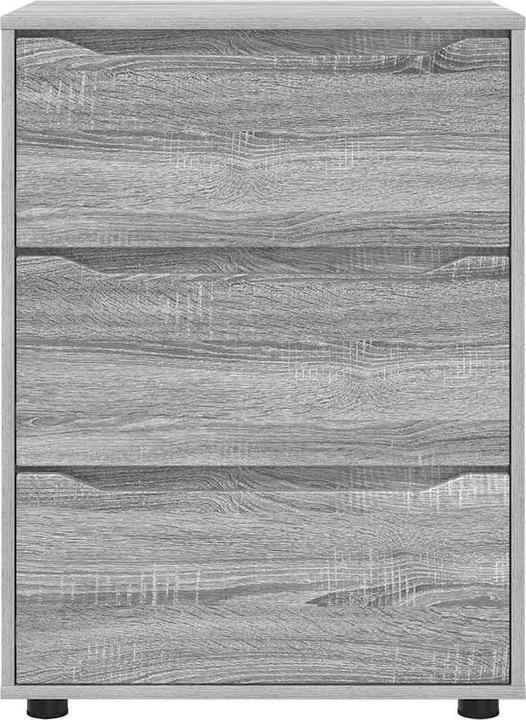 Actual product image vidaXL Aufbewahrungsschrank (60 x 48 x 81 cm)