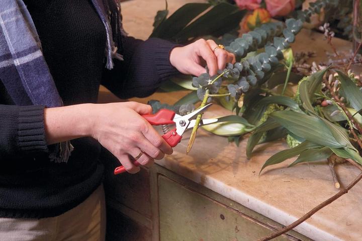 Produktbild Felco Blumen-/Früchtescheren