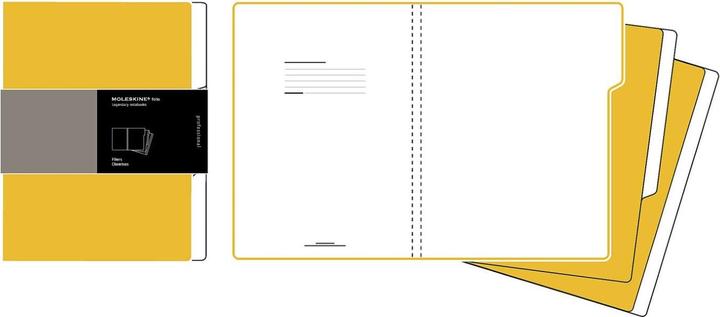 Produktbild Moleskine Folder A4 orange (A4)