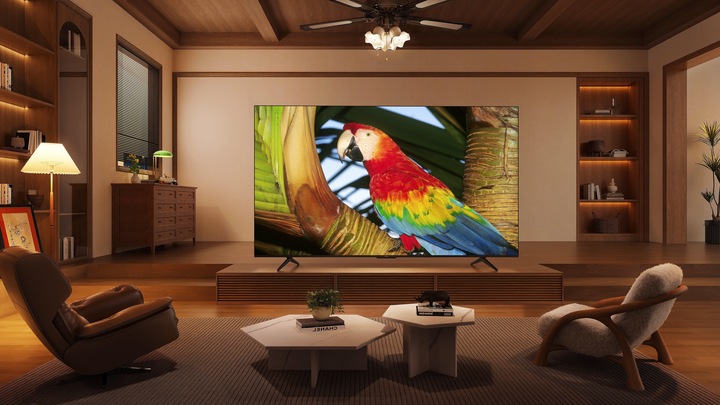 Produktbild TCL 43C655 (43", QLED, 4K, 2024)
