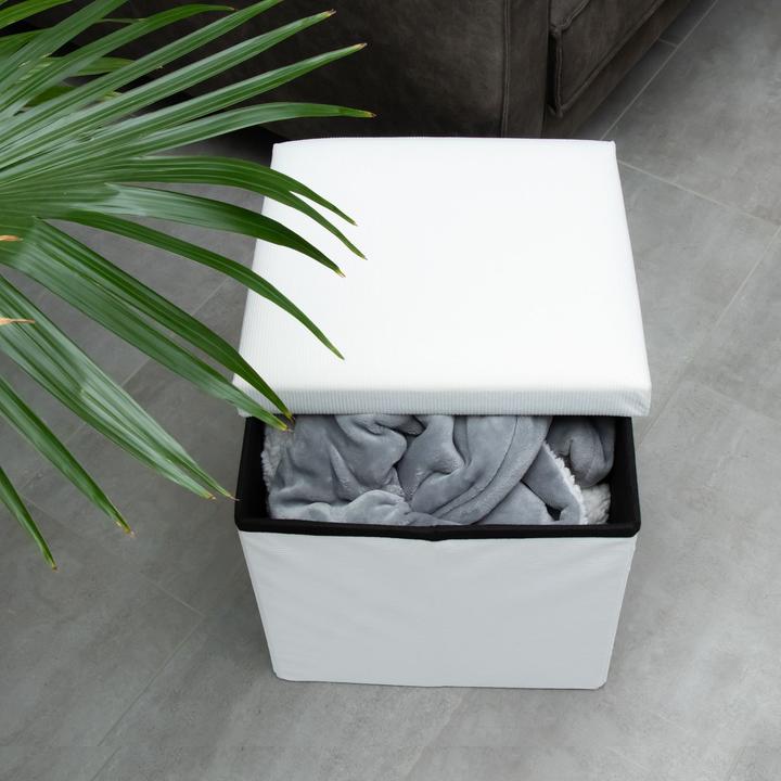 Actual product image Intirilife Foldable stool with storage space