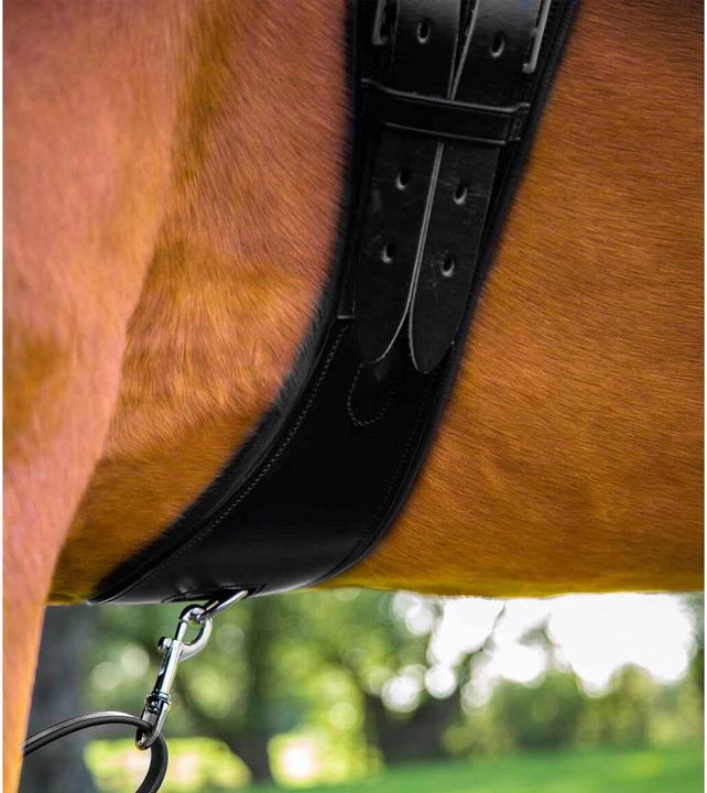 Produktbild Premier Equine Sattelgurt