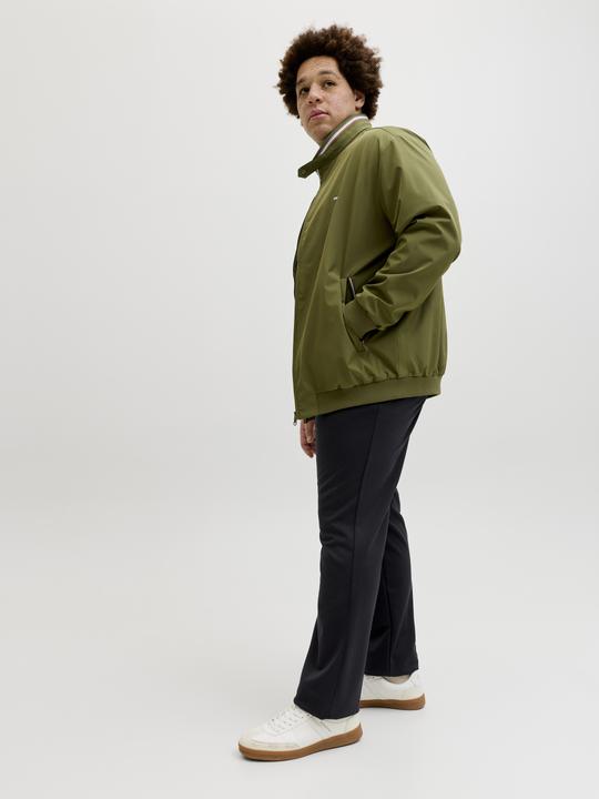 Produktbild Jack & Jones Plus Size Slim Fit Chino Hose Chino Hose (50, W50/L32)