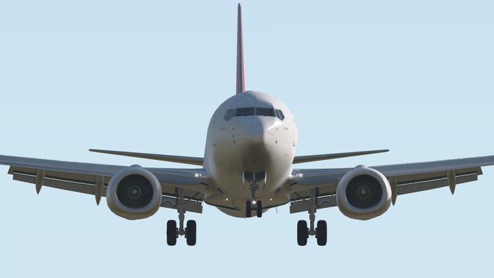 Immagine prodotto Simulatore di volo X-Plane 11 (Mac, PC)