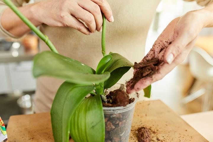 Produktbild Migros-Bio Garden Orchideenerde (3 l)