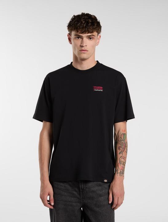 Actual product image Dickies Flag Tee SS (XS)