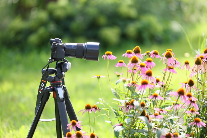 Actual product image Tamron 90mm f/2.8 Di III VC VXD Macro (Sony E, full size)