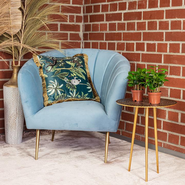 Immagine prodotto Flowerbox Set da 2 pianta del caffè