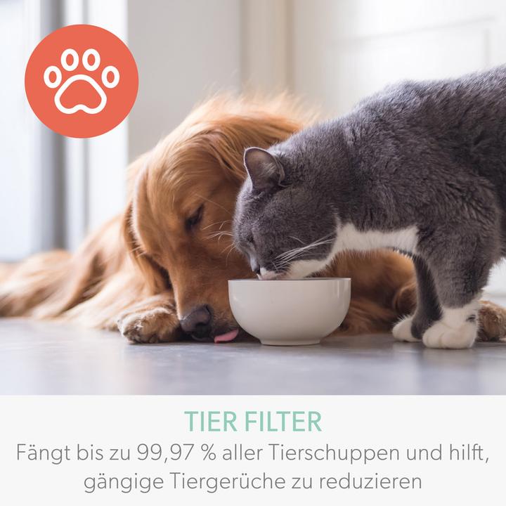 Produktbild Leitz Aktivkohlefilter TruSens 2415132 Tier, HEPA (1 x)