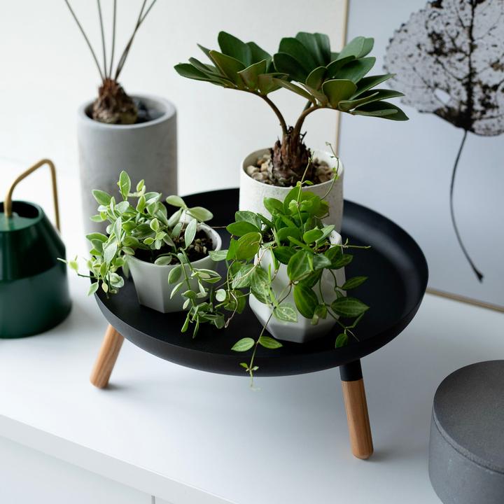 Productafbeelding Yamazaki Kom met houten poten PLAIN (8.49 l)