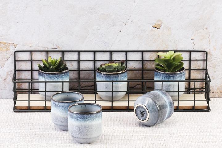 Immagine prodotto Björn Genesis (150 ml, 6x)