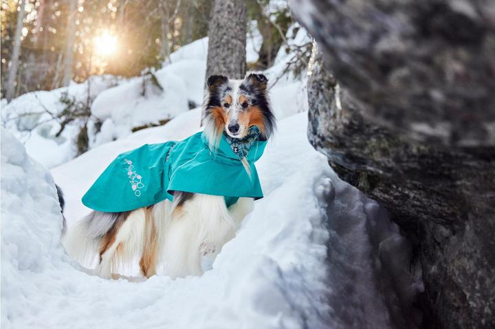 Immagine prodotto Hurtta Monsoon V2 Eco verde mackintosh, 30 cm (30, Cappotto impermeabile per cani)