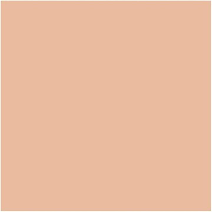 Actual product image MAC Cosmetics Studio Fix Powder Plus Foundation (C4.5 Peachy Golden)