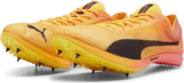 Puma evoSPEED Distance Nitro Elite+ 4