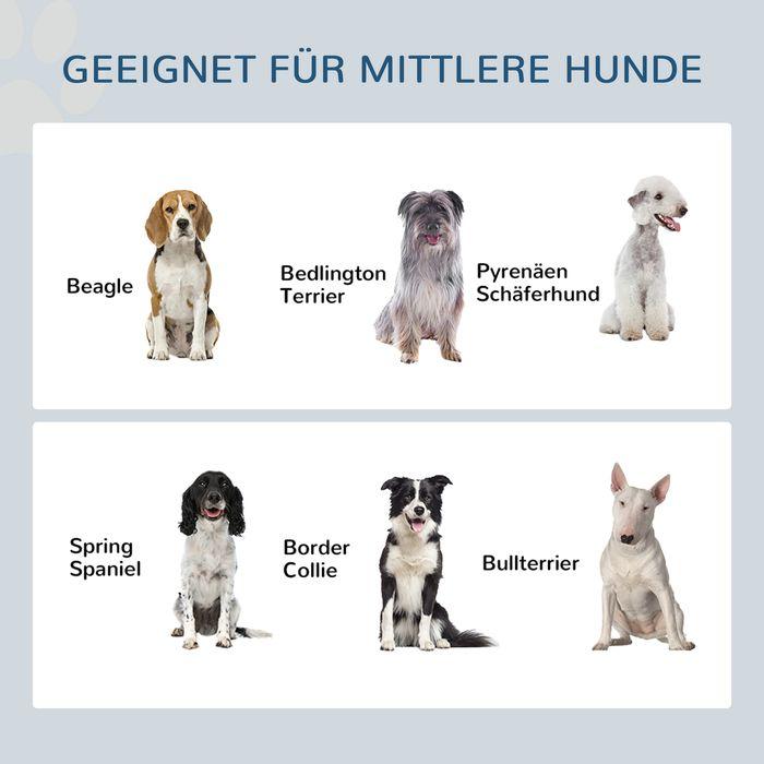 Image du produit Swisshandel24 Hundenapf erhöht, Höhenverstellbar Futternapf für Hunde mit Stauraum, Weiss (1 l)