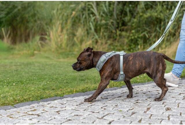 Image du produit Trixie Premium FlexMesh harness, wide fit,L:63–92cm/25mm,sage (L, Chien)