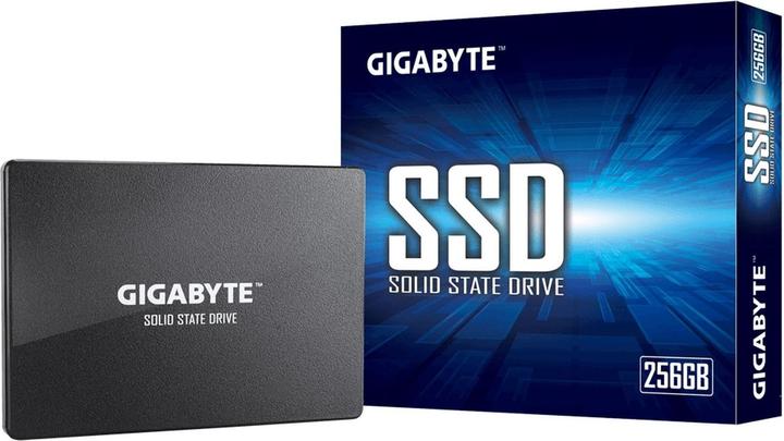 Productafbeelding Gigabyte GP-GSTFS31256GTND (256 GB, 2.5")