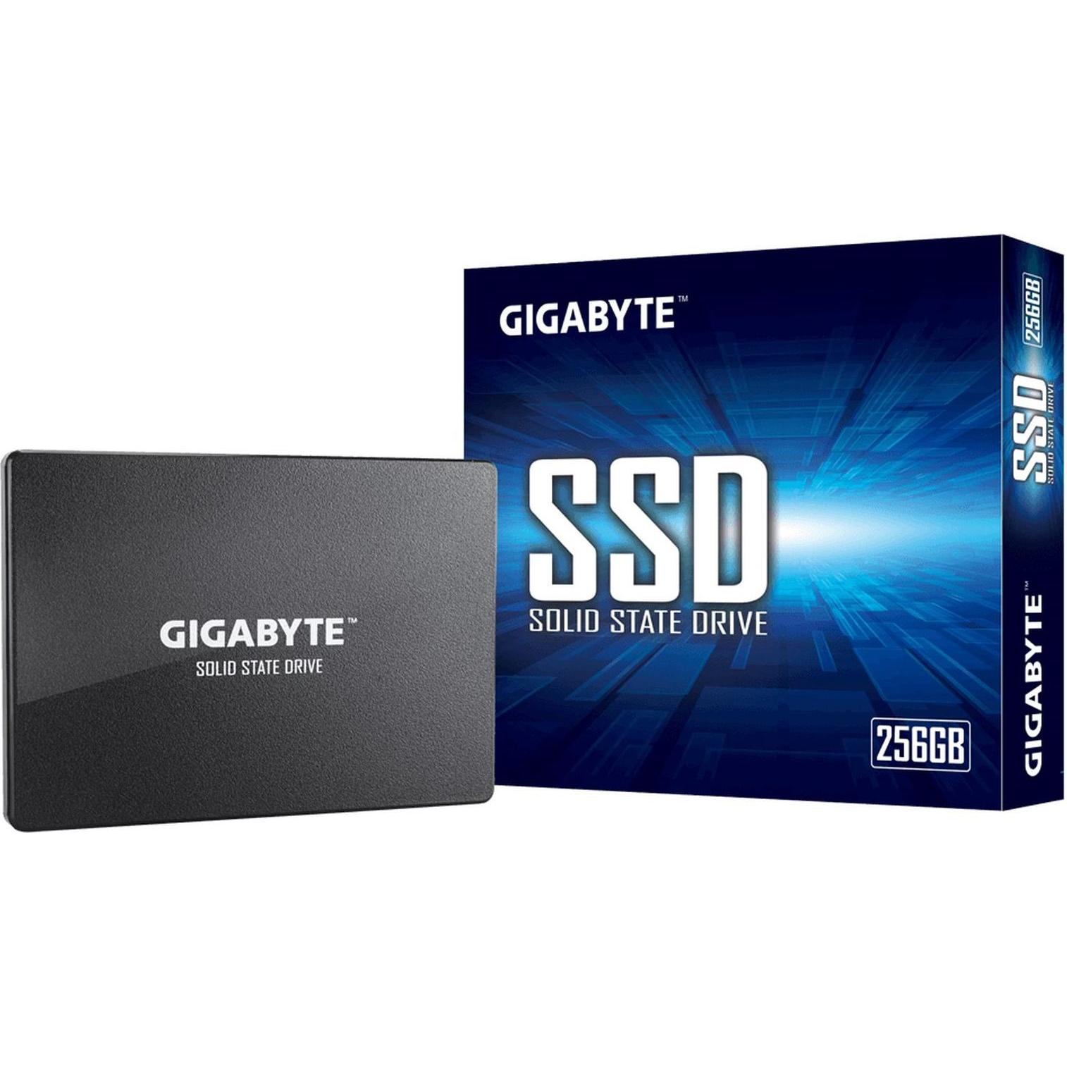 Gigabyte GP-GSTFS31256GTND (256 GB, 2.5"), SSD