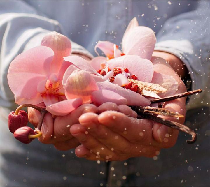 Produktbild Miller Harris Powdered Veil (Eau de Parfum, 100 ml)