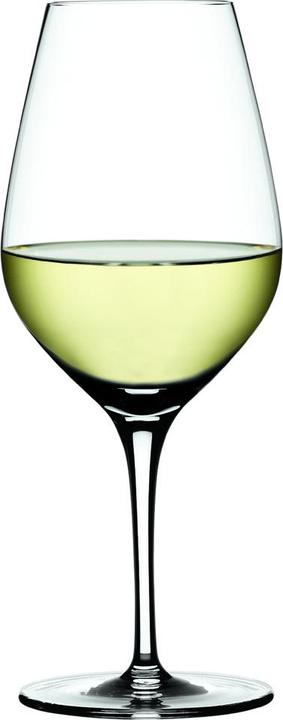 Image du produit Spiegelau Verres à vin rouge Verres à vin blanc Gobelet universel AUTHENTIS Set 12 pièces (12 x)