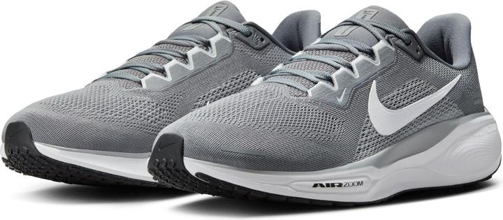 Produktbild Nike Pegasus 41 (45.5)