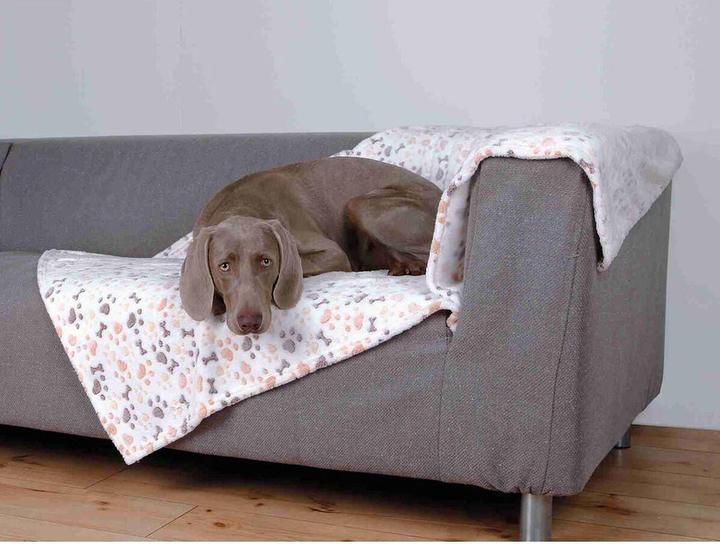 Actual product image Trixie Lingo (Dog)