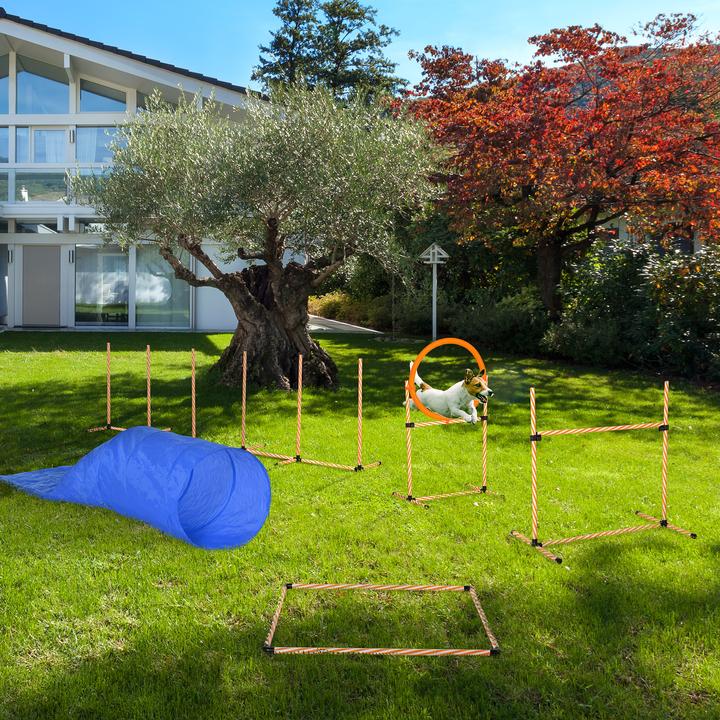 Produktbild PawHut Set (Agility)