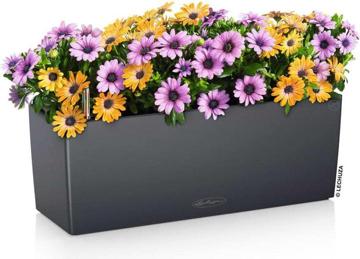 Actual product image Lechuza Balconera Color (19 cm)