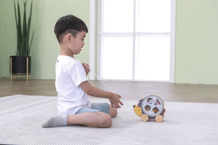 Produktbild Viga Toys Zieh-Igel aus Holz