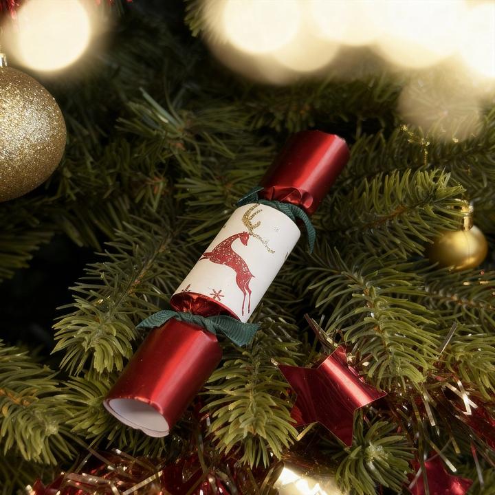 Image du produit Habitat Crackers