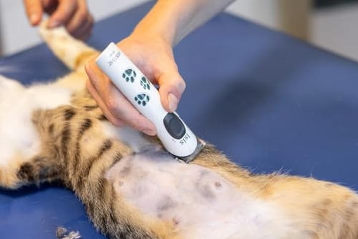 Produktbild Aesculap Isis (Hund)