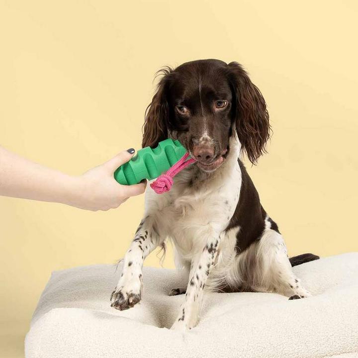 Immagine prodotto Coockoo Gummispielzeug Groovy Grip (Gioco da masticare per cani)