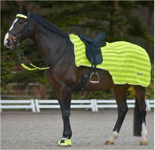 Actual product image Waldhausen Reflex studding blanket