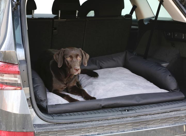 Produktbild Kerbl Kofferraumkissen (Hund, Waschbar, Atmungsaktiv, Reflektoren)