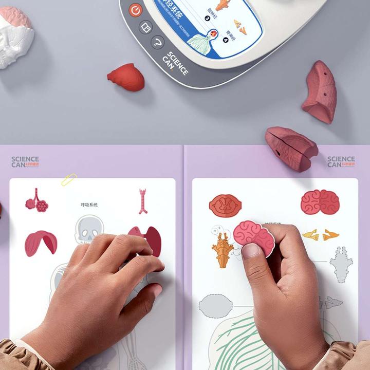 Actual product image Science Can My Body - a knowledge journey with quiz and sound/ My Body Voice Pedia (German, Dutch, English, Italian, French, Spanish)