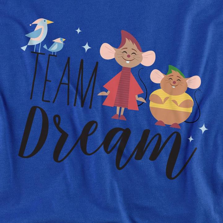 Image du produit Cinderella - T-shirt TEAM DREAM - Adulte (L)