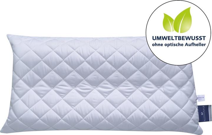 Produktbild Billerbeck Latexi® (40 x 80 cm)