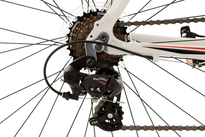 Immagine prodotto KS Cycling euforia (58 cm)